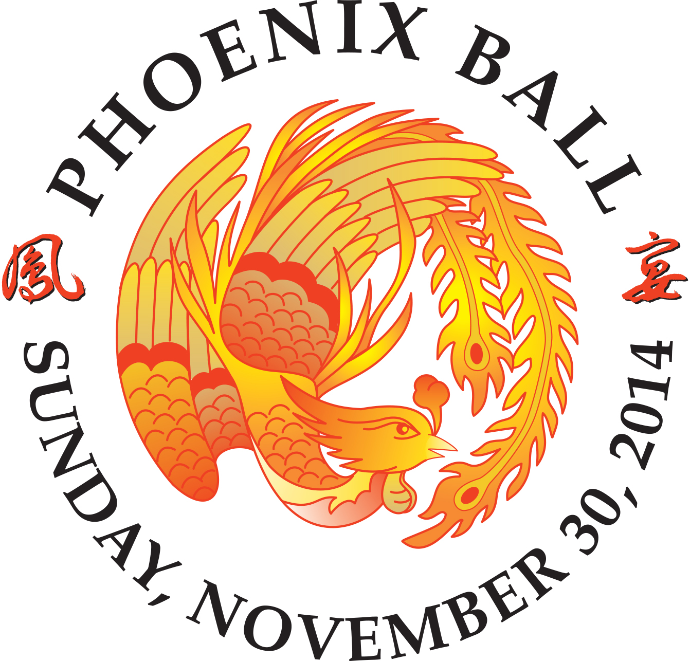 Phoenix Ball 2014