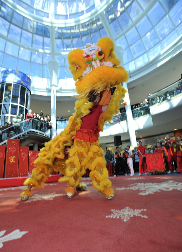 Chinese New year Celebration 2013