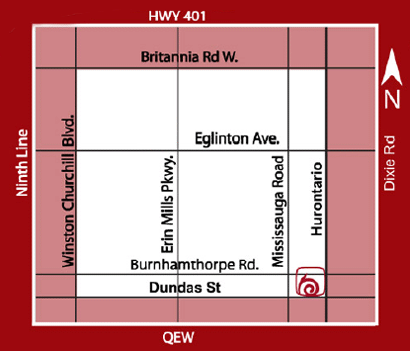 SPRING ROLLS RESTAURANT